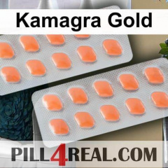 Kamagra Gold 236