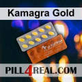 Kamagra Gold 441