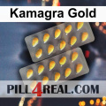 Kamagra Gold 506