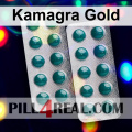 Kamagra Gold 960