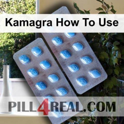 Kamagra How To Use 056