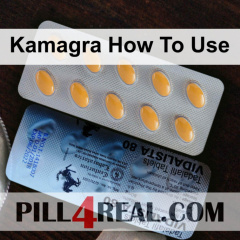 Kamagra How To Use 130