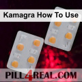 Kamagra How To Use 415