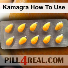 Kamagra How To Use 443