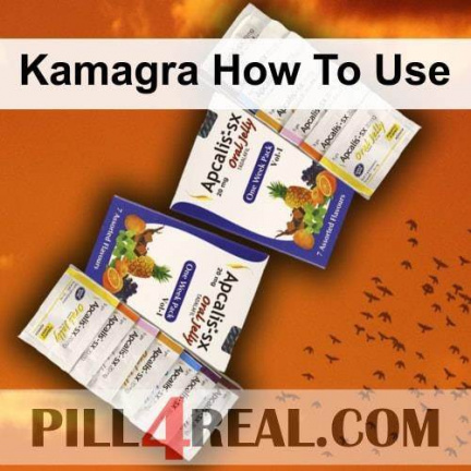 Kamagra How To Use 469