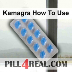 Kamagra How To Use 508