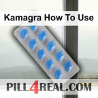 Kamagra How To Use 508