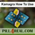 Kamagra How To Use 700