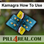 Kamagra How To Use 700