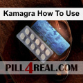 Kamagra How To Use 984
