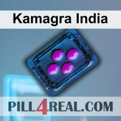 Kamagra India 041