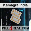 Kamagra India 049