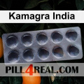 Kamagra India 401