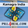 Kamagra India 731