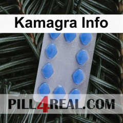 Kamagra Info 207