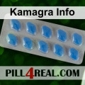Kamagra Info 293