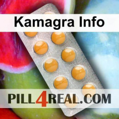 Kamagra Info 382