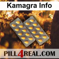 Kamagra Info 491