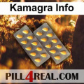 Kamagra Info 491