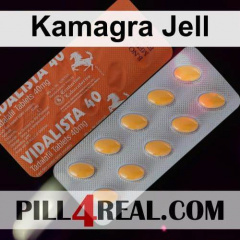 Kamagra Jell 291