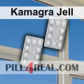 Kamagra Jell 314