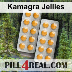 Kamagra Jellies 229