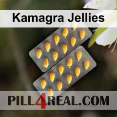 Kamagra Jellies 304