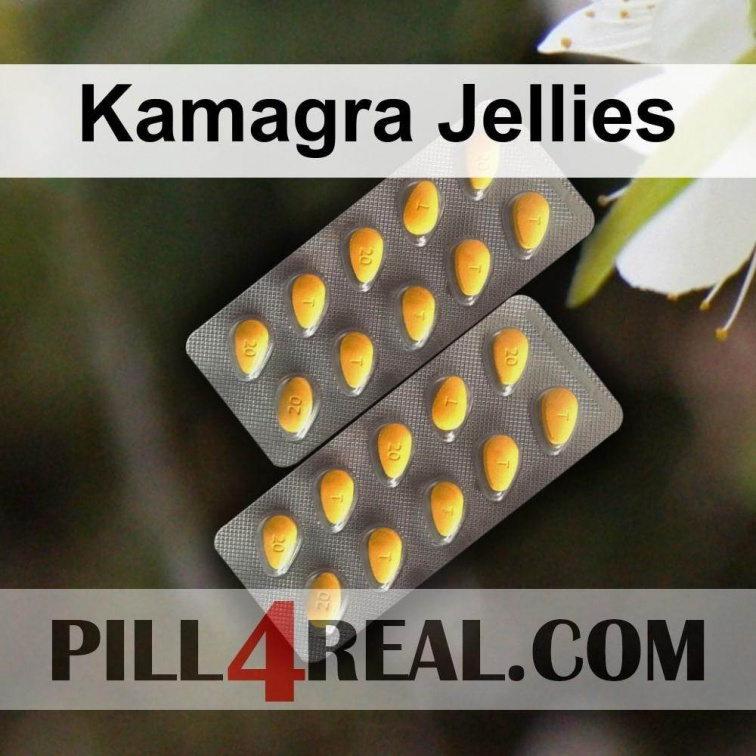 Kamagra Jellies 304