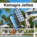 Kamagra Jellies 578