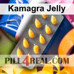 Kamagra Jelly 256