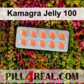 Kamagra Jelly 100 371