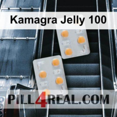 Kamagra Jelly 100 785