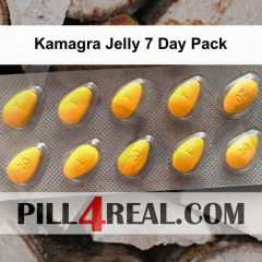 Kamagra Jelly 7 Day Pack 193