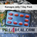 Kamagra Jelly 7 Day Pack 239