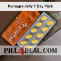 Kamagra Jelly 7 Day Pack 241