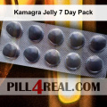 Kamagra Jelly 7 Day Pack 604