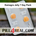 Kamagra Jelly 7 Day Pack 659