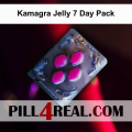 Kamagra Jelly 7 Day Pack 678