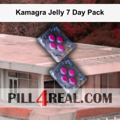 Kamagra Jelly 7 Day Pack 687