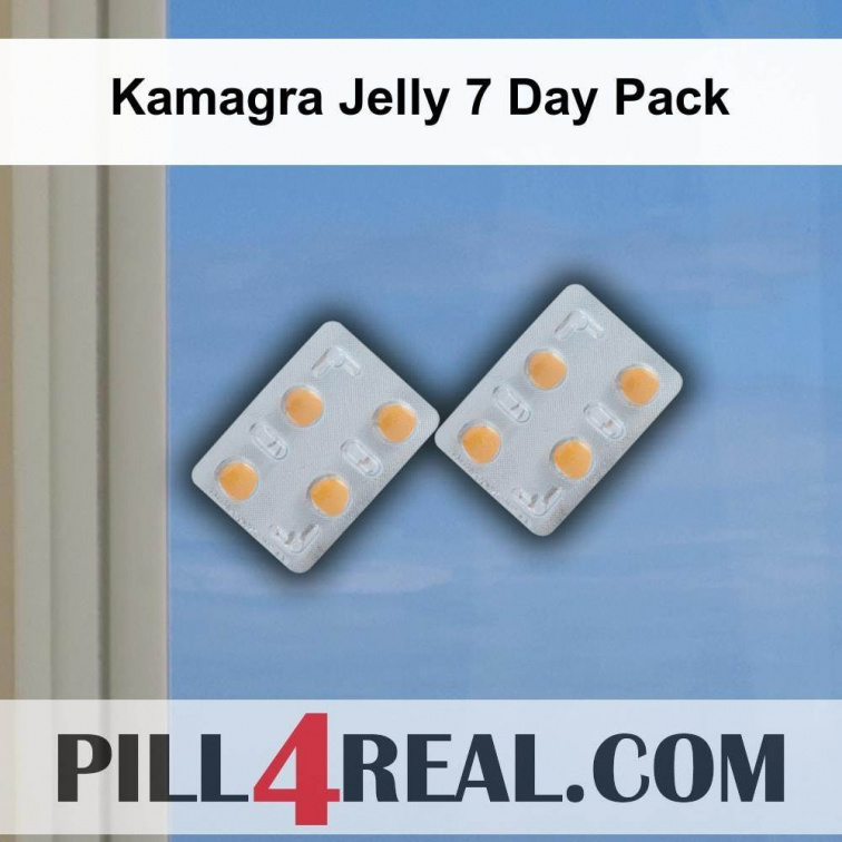 Kamagra Jelly 7 Day Pack 740