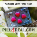 Kamagra Jelly 7 Day Pack 758