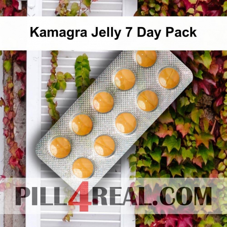 Kamagra Jelly 7 Day Pack 786