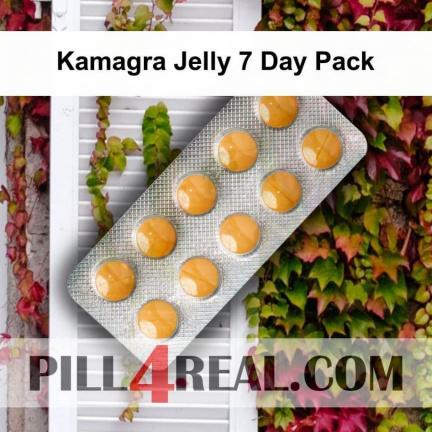 Kamagra Jelly 7 Day Pack 786