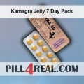 Kamagra Jelly 7 Day Pack 802