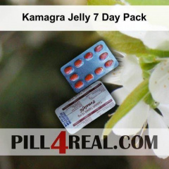 Kamagra Jelly 7 Day Pack 819