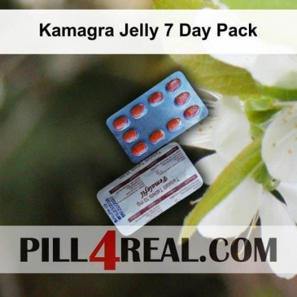 Kamagra Jelly 7 Day Pack 819