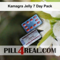 Kamagra Jelly 7 Day Pack 819