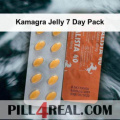 Kamagra Jelly 7 Day Pack 820