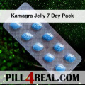 Kamagra Jelly 7 Day Pack 864