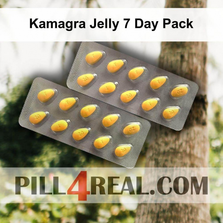 Kamagra Jelly 7 Day Pack 940